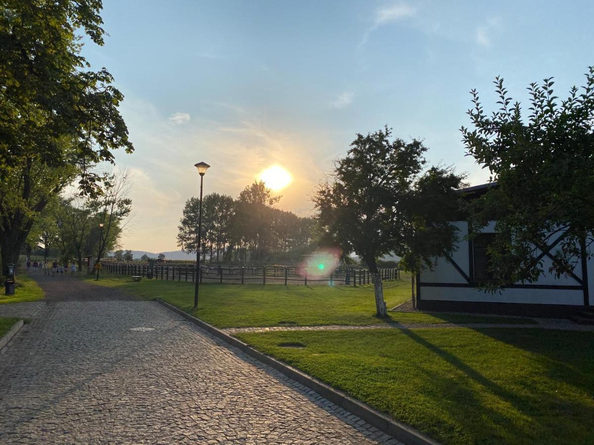 Dworzysko Hotel Szczawno-Zdroj Buitenkant foto