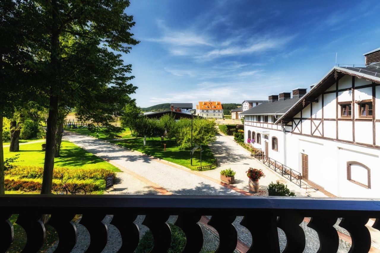 Dworzysko Hotel Szczawno-Zdroj Buitenkant foto