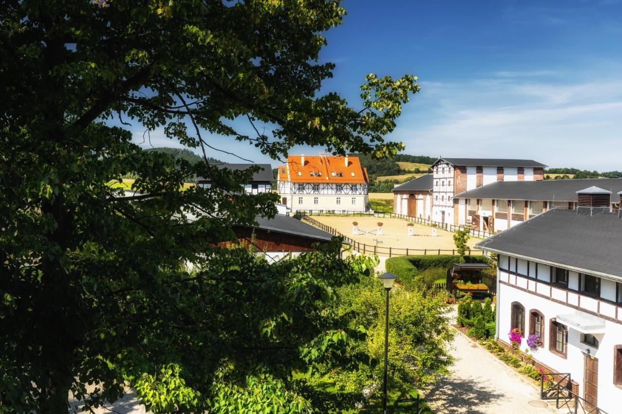 Dworzysko Hotel Szczawno-Zdroj Buitenkant foto